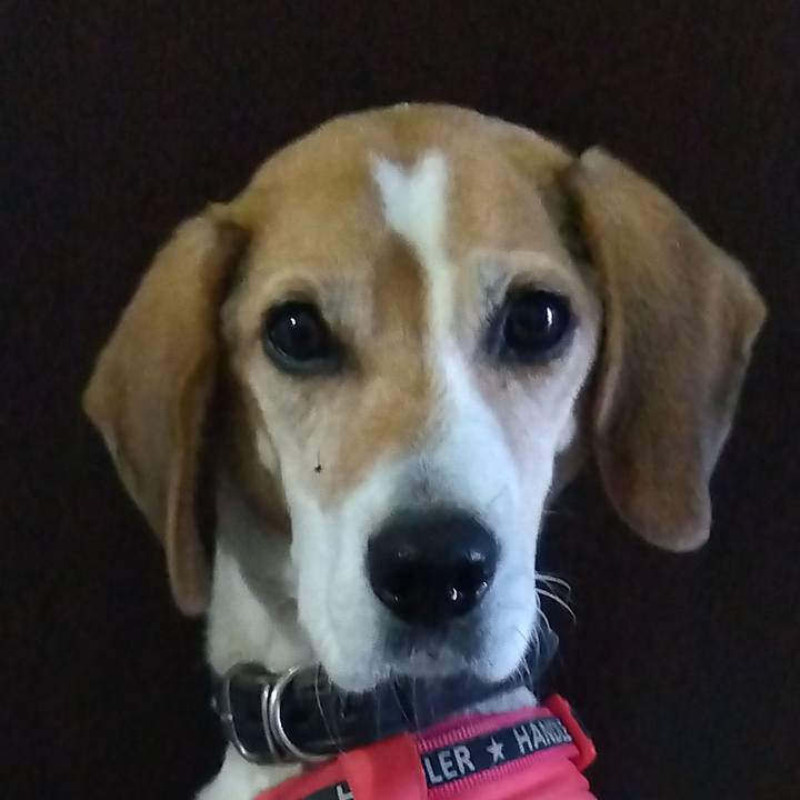 C7e4cbde a474 4501 b782 5bbe31b1469d 1700832823499