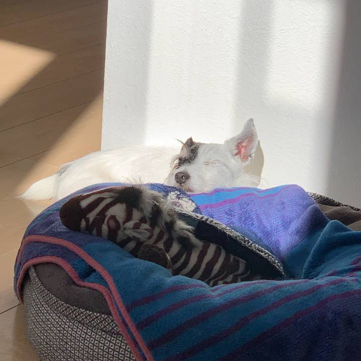 C7e5008b dcfb 4489 a84c fe0bfdf79203 1732759331940