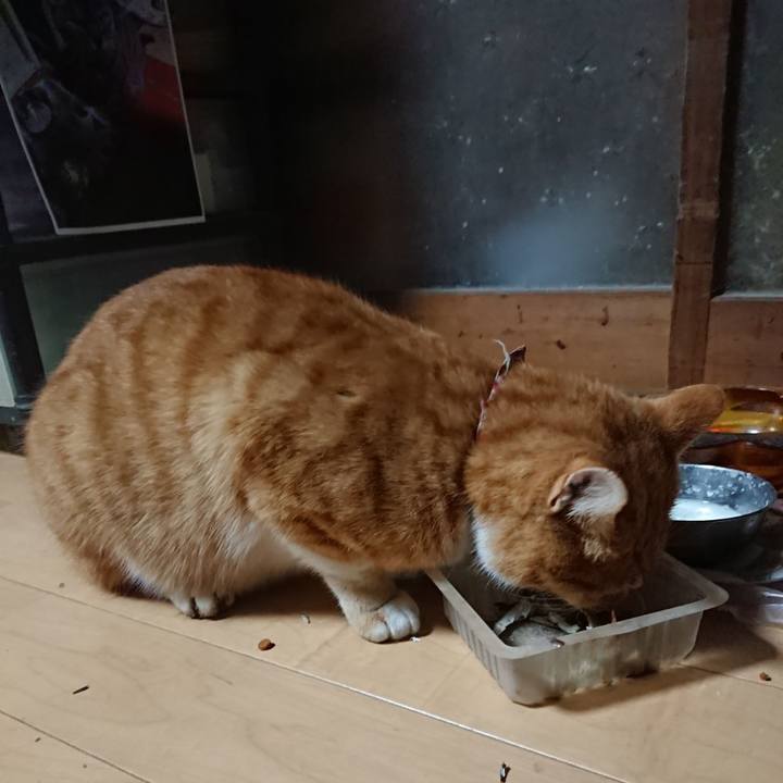 C7e52b56 67bd 4bd6 9cd1 4fc43ff6fd00 1606728354562