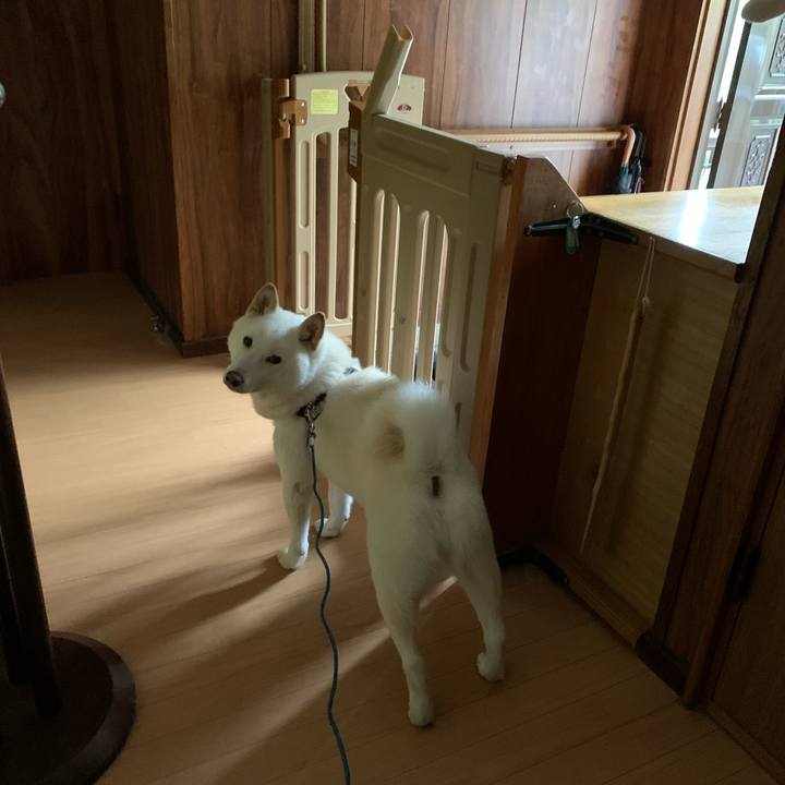 C7e551bc cd83 4f58 9803 fedfb03497d6 1593206687144