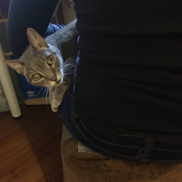 C7e58f57 81bd 4b27 9a15 7ca8c2b0bc9c 1539371264221