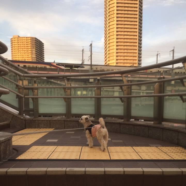 C7e5aedc 0c3a 4a84 88c0 031dd6da0b37 1558519136733