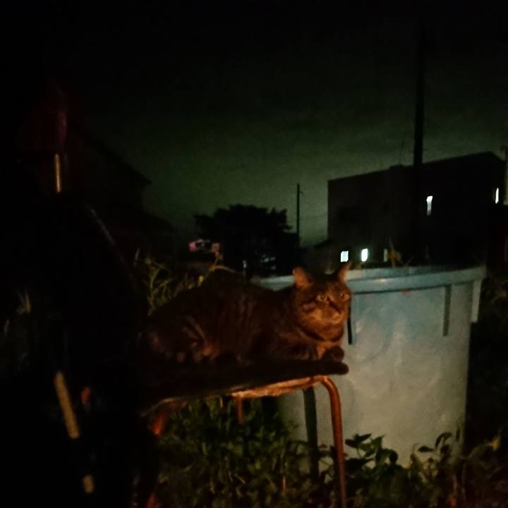 C7e60d72 e595 4c43 8df7 7035004b62ec 1659702001093