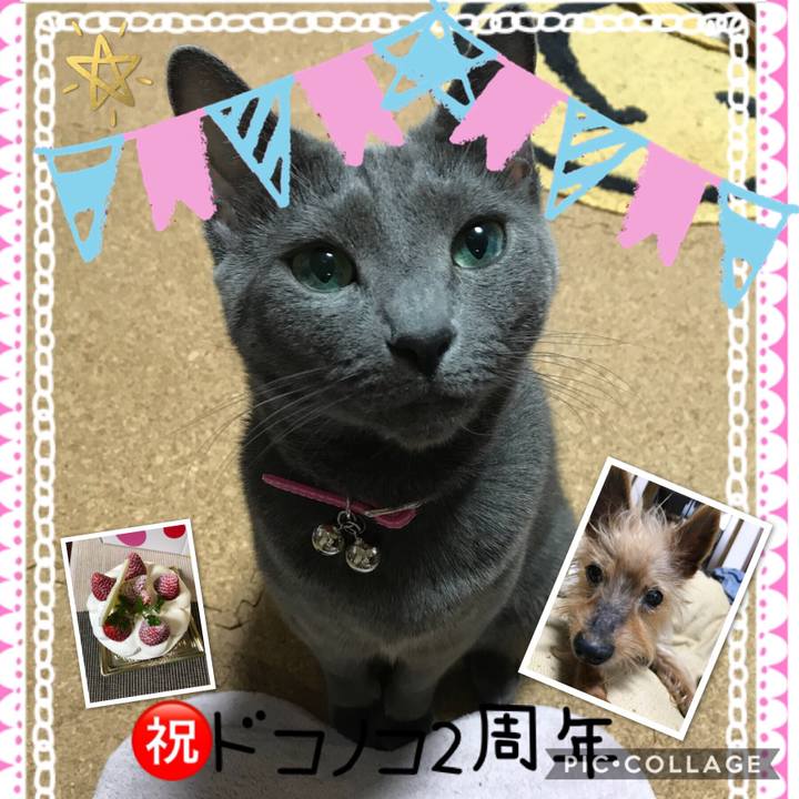 C7e62195 f82e 4b6c b009 3c76c2a095e9 1528031534410