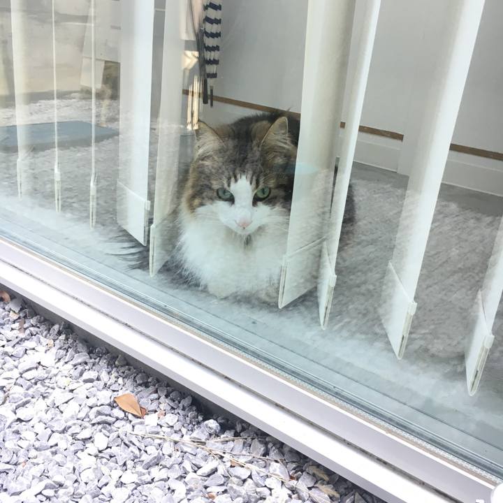 C7e6319e bf49 4504 ac6d ee76198f0da9 1553672725529