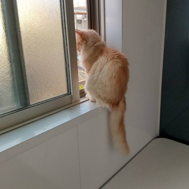 C7e66878 f3c6 4b07 b470 86c52b95435e 1626818567446