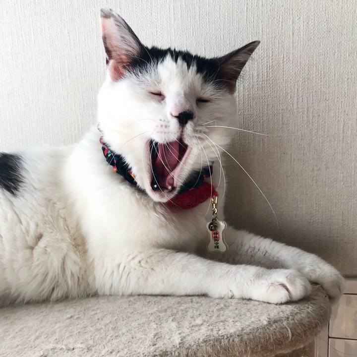 C7e67065 9e58 4864 8537 14c0fd1fc132 1528012676528