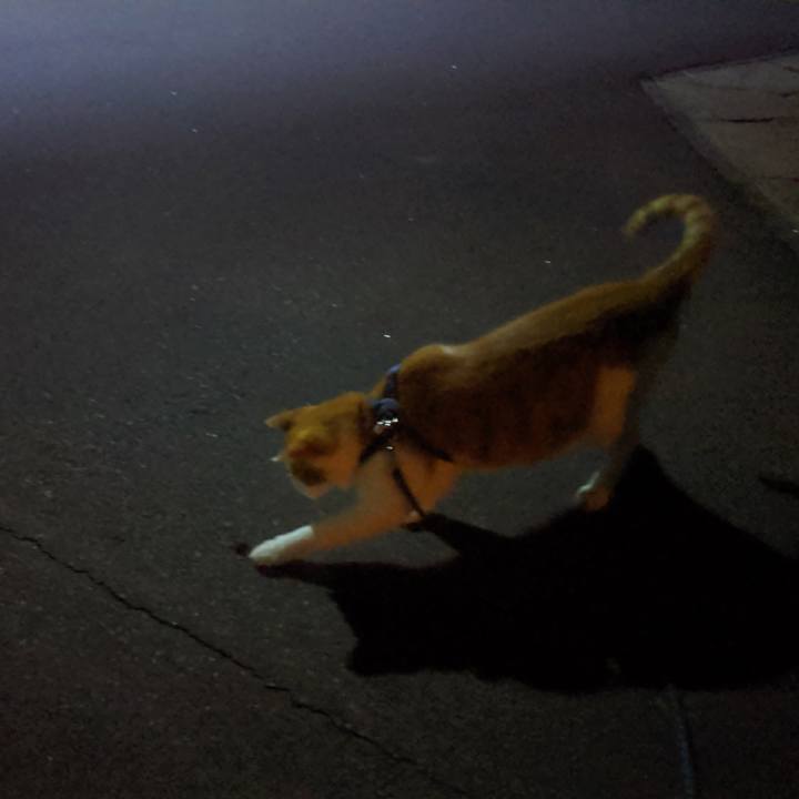 C7e685f1 edcc 4c8d a5bf 7af4a27b263d 1564754597423