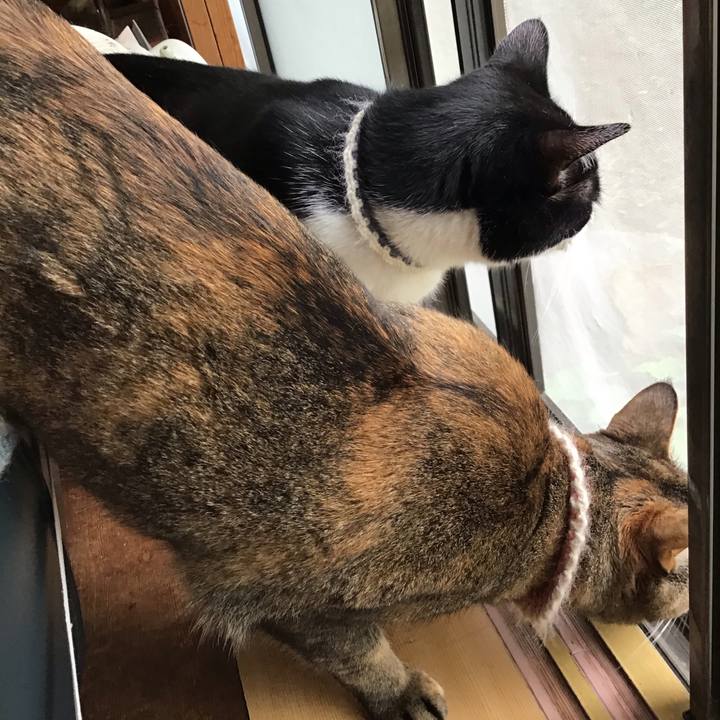 C7e6b5d1 d48c 4907 b4d0 a9c154d0066e 1654207879772