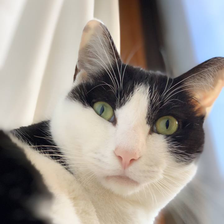 C7e6bf86 2f1e 443d adea ebd39745eebd 1579570634392