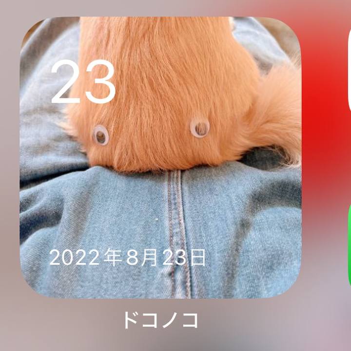 C7e759a8 d415 450f bc33 d4c8545948c9 1724402034195