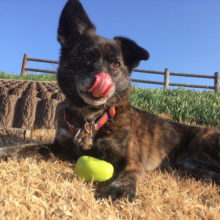 C7e7eb63 4045 4f6a b296 14c1b96703b6 1515737756212