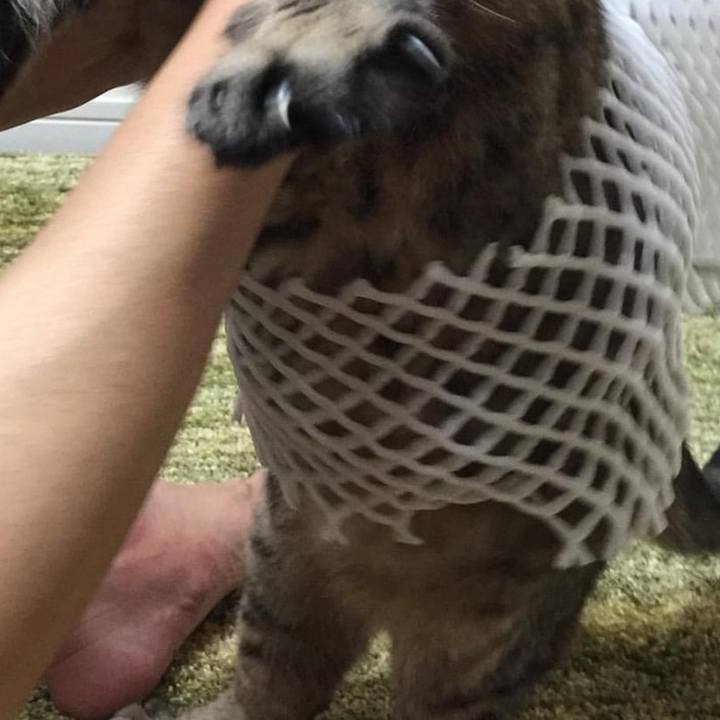 C7e83137 46a2 4598 bc6c cf7a950a182d 1629976030276