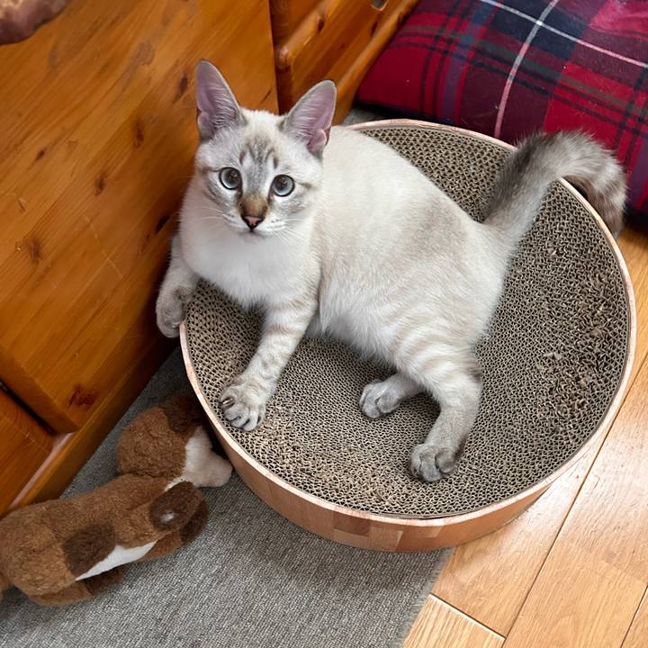 C7e85c34 bc46 4ebf a8e8 8b5508dd33b3 1730248590322