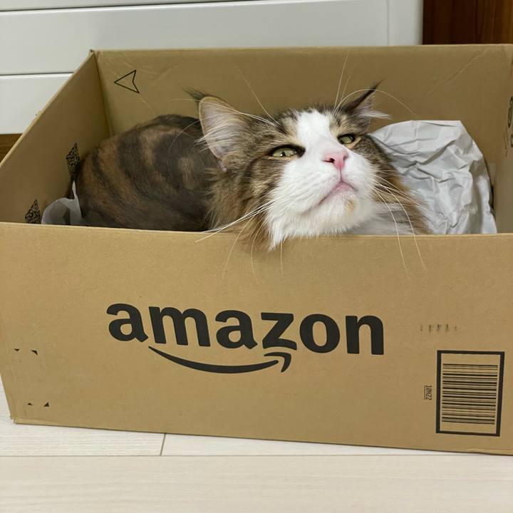 C7e86e48 a37a 4380 9349 70e845df1fd1 1689677334810