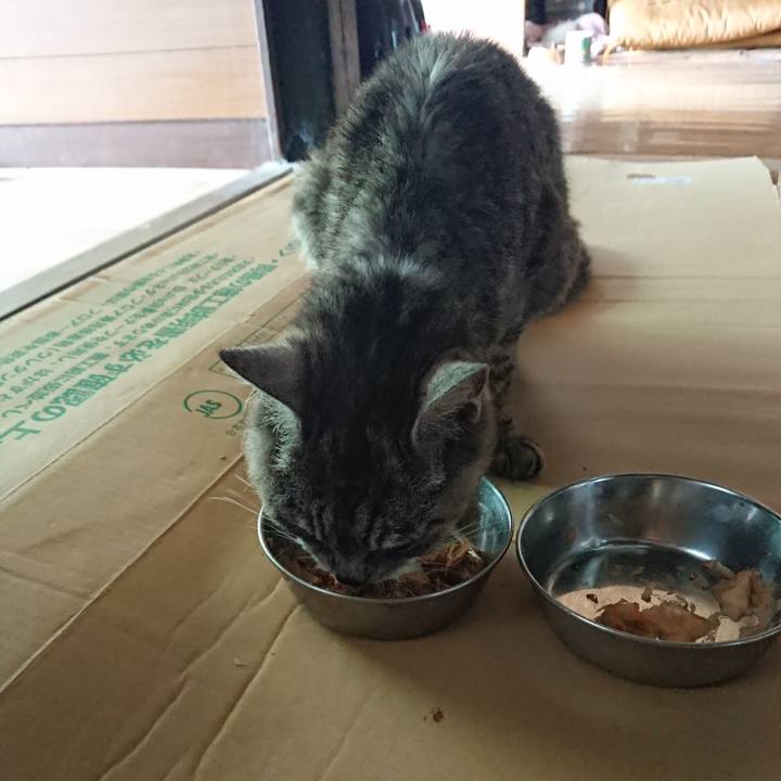 C7e88acd bda8 4b49 9126 80ef6b6692a3 1597471233123