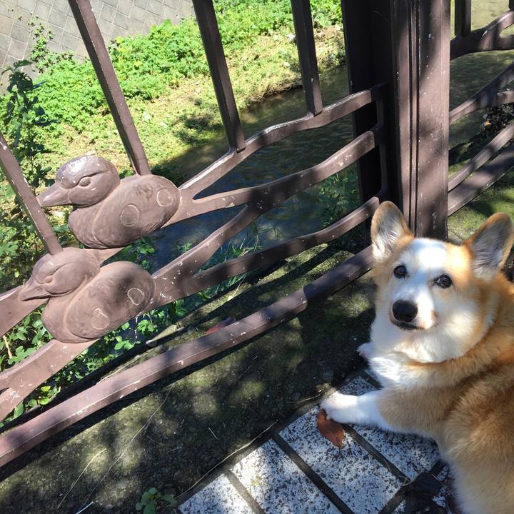 C7e88c05 2ba4 49b9 8905 11222f95a9b9 1538360330166