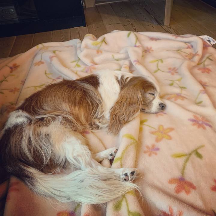 C7e894cc a04e 4b5d a9cc b4ea91a26ca2 1574117790840