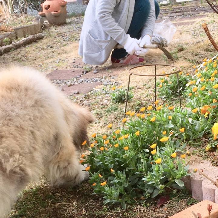 C7e8d113 8f23 4488 b09f 1464ac4e6778 1595304674099