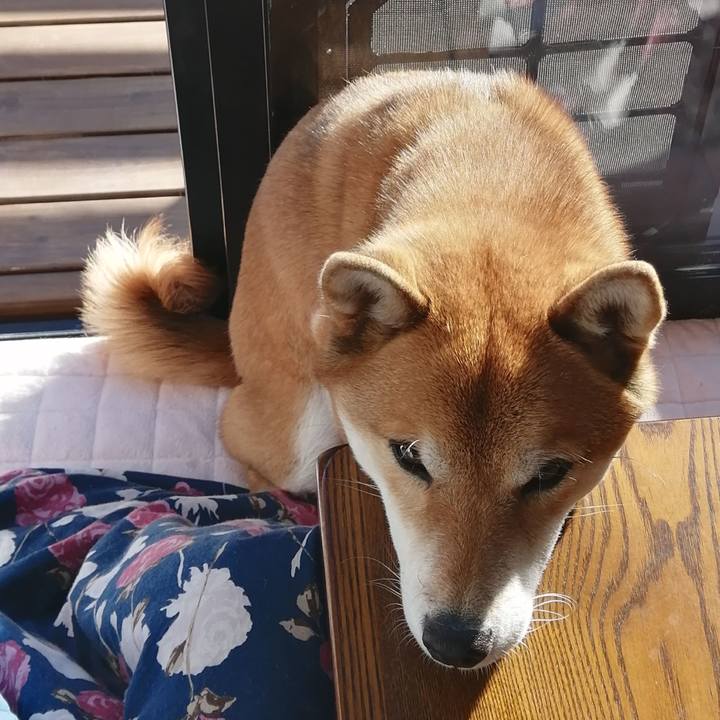 C7e91a9a 4fa9 40d0 8537 60be43c9a1ec 1609567858670