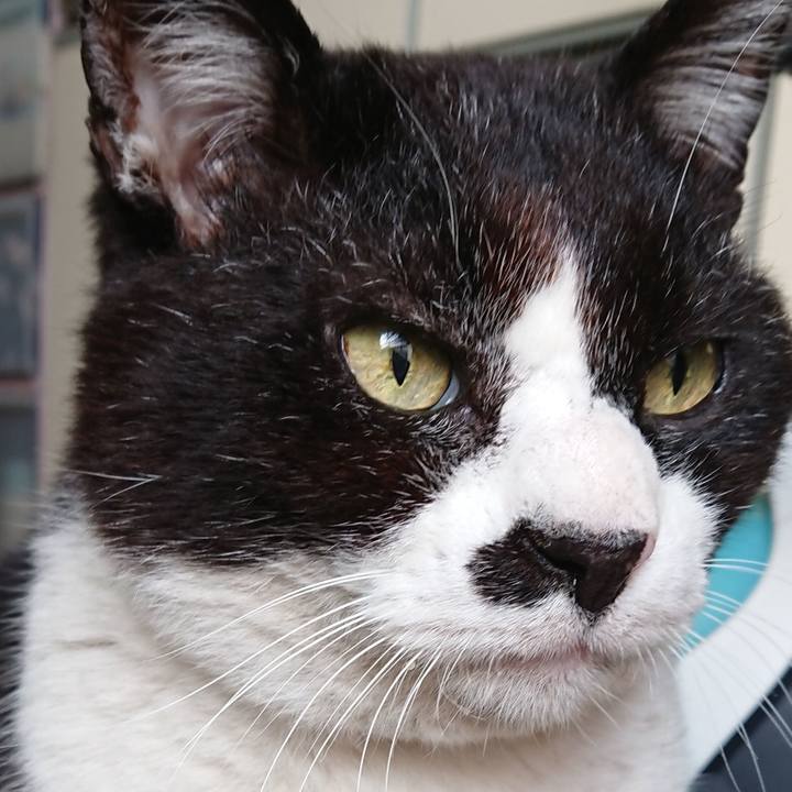 C7e93b35 0fbe 41f5 94ae 3a1be1feaa67 1650856108648