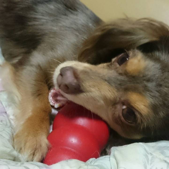 C7e98436 a1ec 4007 a70d e6a57386be02 1517830627240