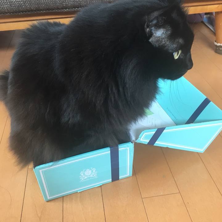 C7e98830 e400 4460 a338 affeb385ebca 1550915252243