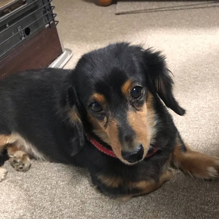 C7e999c5 836b 4495 9cc7 2b481eee6d66 1544047026540