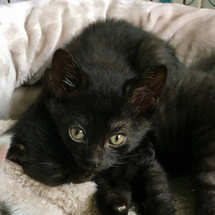 C7e99f56 b9f9 4cef 92d2 3bf293ef6829 1624575338433