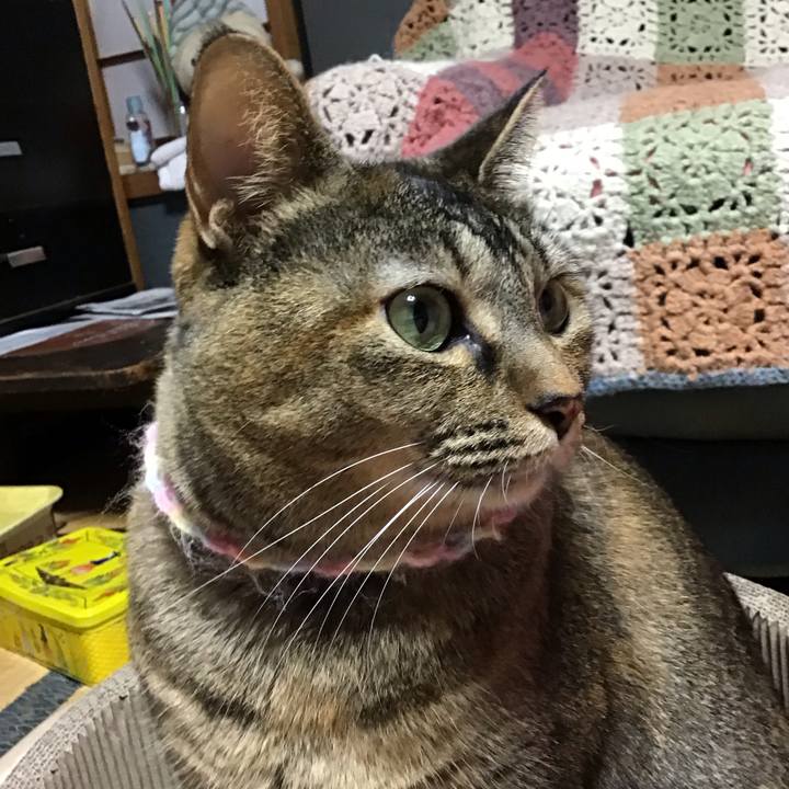 C7e9bafc c132 4df2 9b1d e3dbd75c4604 1701172545595