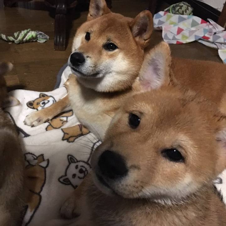 C7e9d73f 24db 488c afbf c75378640b43 1550141665780