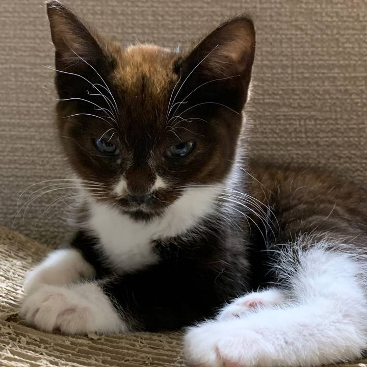 C7e9fb12 82f2 4265 81dd 1d285919b15a 1579346543209