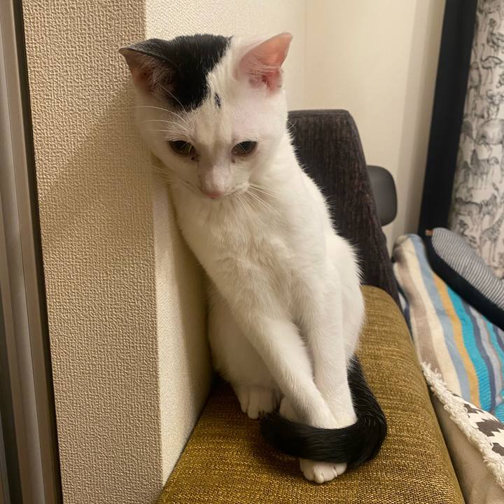 C7ea0374 cd26 4ad6 b904 7b68bfae3f95 1673445548625