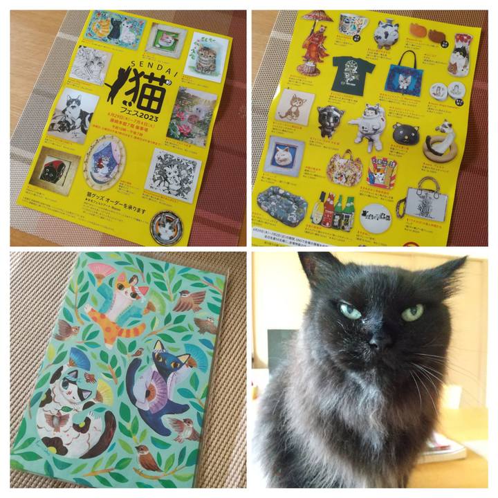 C7ea31cc dc71 4a81 b76c cb7e7b9b069b 1688105795691