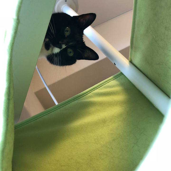 C7ea3efa fd3b 4b79 9ad3 8c39f7acffe2 1529724097439