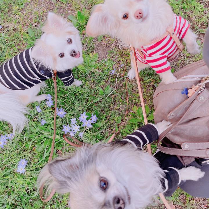 C7ea646c 7c62 4e73 97e1 4853b4656363 1679382626737