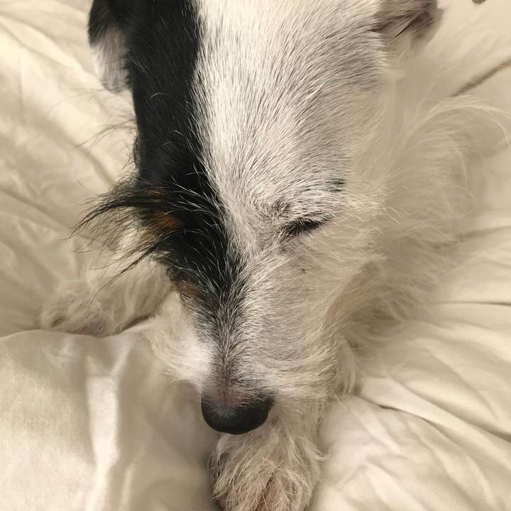 C7ea86ac 41c9 4b04 b954 ca48a3492aa3 1535350322798