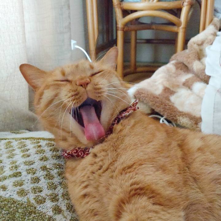 C7ea894d 04bf 4c41 8b88 d1d2f5e18101 1651056208171