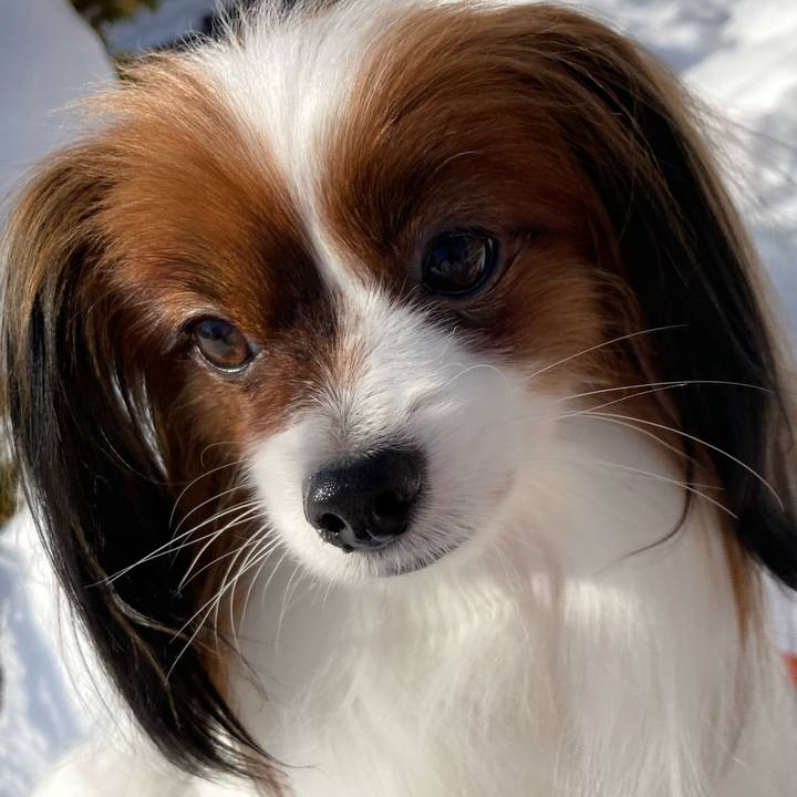 C7ea9c02 69c3 42b0 97be c5e5e435bef0 1644369528116