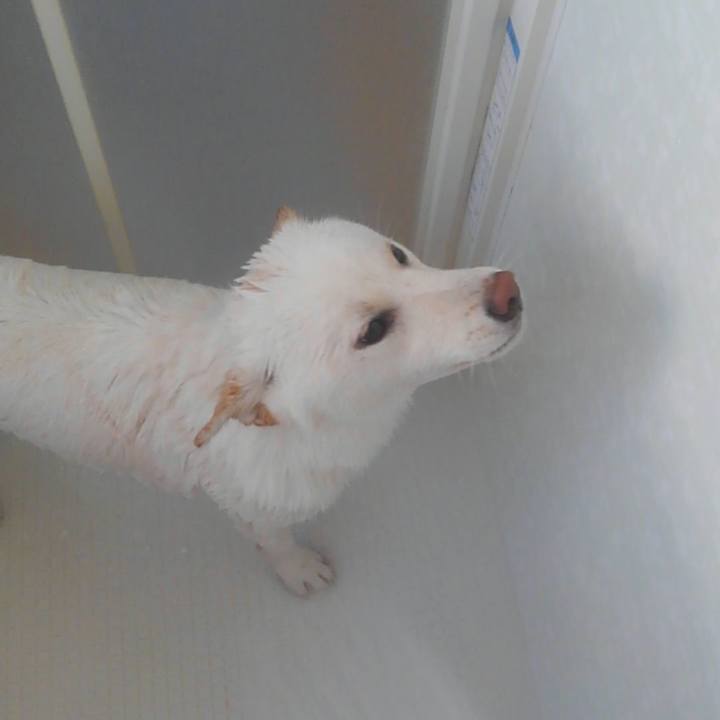 C7eade8a 5916 4404 8582 c09850f6f870 1564814557392