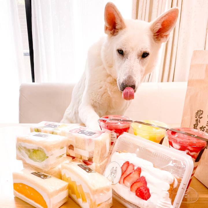 C7eb0e96 3754 4ea5 8253 652e1397e6f3 1622873847772