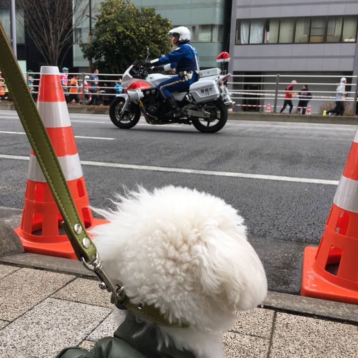 C7eb727f f6b5 4949 9e88 fe8cc1fdf2e3 1519530573862