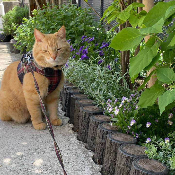 C7eb74a2 7a4f 40ce bf11 eeaadb43336d 1714191480938