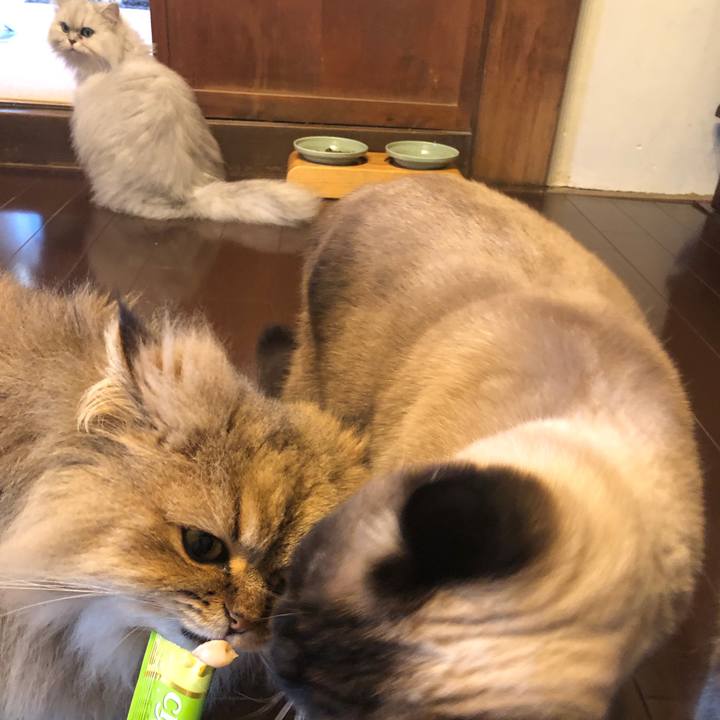 C7eb8cab a461 41f2 9c3a 10eacd7eb360 1613878185782