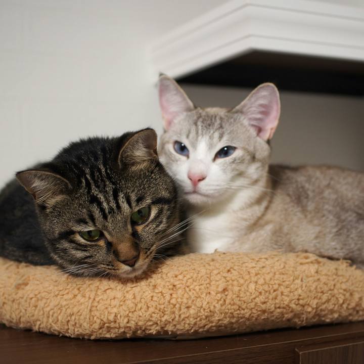 C7ebbbce 67c8 4fa9 84d9 5ec2a967b348 1540602726837