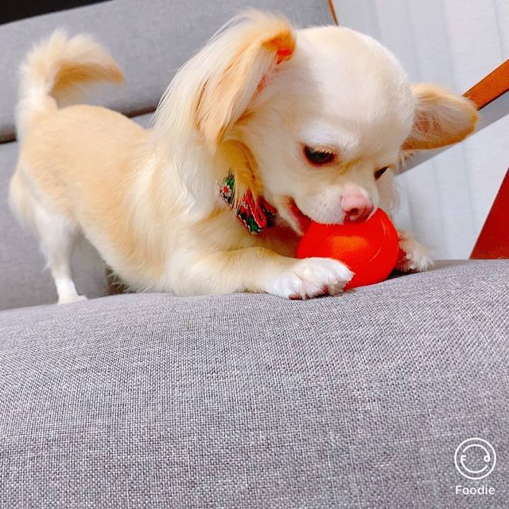 C7ebcc13 85ad 4542 8124 09090f08bfb8 1626236573942