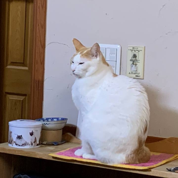 C7ebe782 3177 4eda a7b0 c7715283af7c 1609324716064