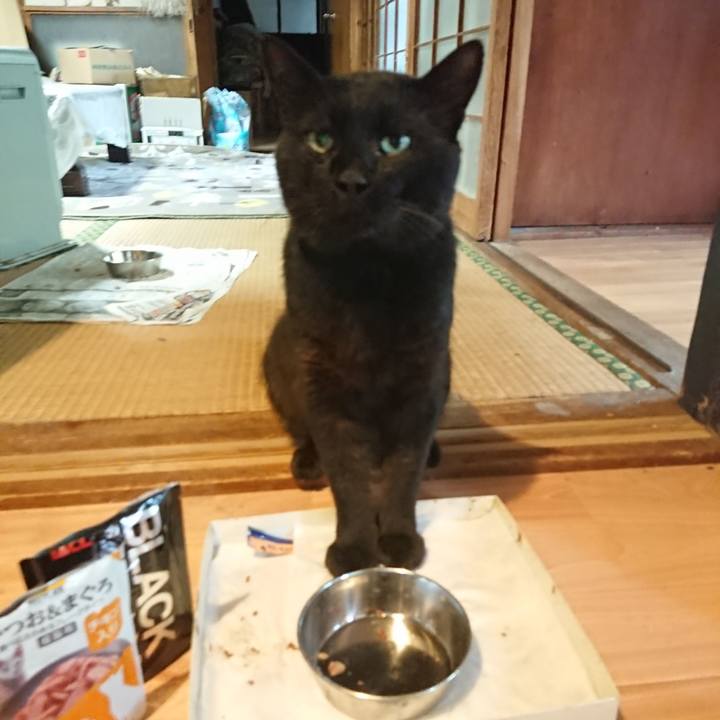 C7ec1c8d c75e 4dc4 b5be 27c84a397163 1627075084088