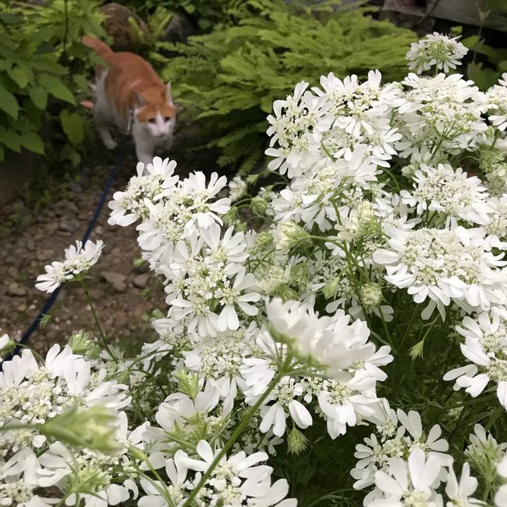 C7ec1d05 a931 46b8 ae38 dda524aa22fa 1530321497713