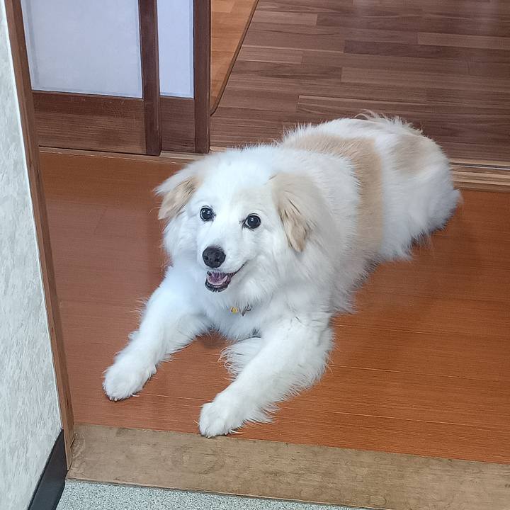 C7ec20a0 ee31 4ff0 89eb 240f3e5c8b7c 1686438947970